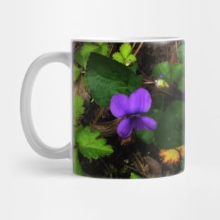 Violets Mug